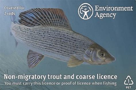 rod fishing licence|Check, check, check; new rod licence app continues to bring .